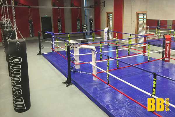 Expert Martial Arts & Boxing Equipment Manufacturer Since 1987 Expert Martial Arts & Boxing Equipment Manufacturer Since 1987